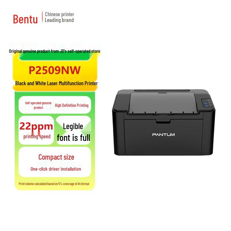 Pantum P2509NW Black & White Laser Printer CN plug (adapter included)