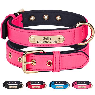 Hundar – Hundhalsband & Koppel