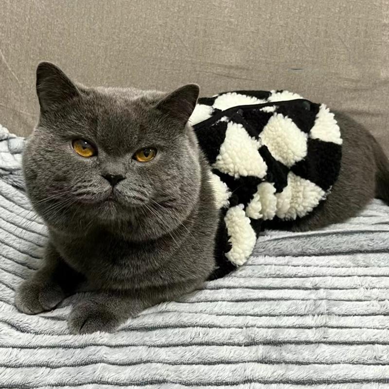 Fashion Sphynx Cat Sweater Cardigan for Cats Gotas Winter Warm Pet Fleece Clothes Garfield Katten Dog Jackets Mascotas Clothing
