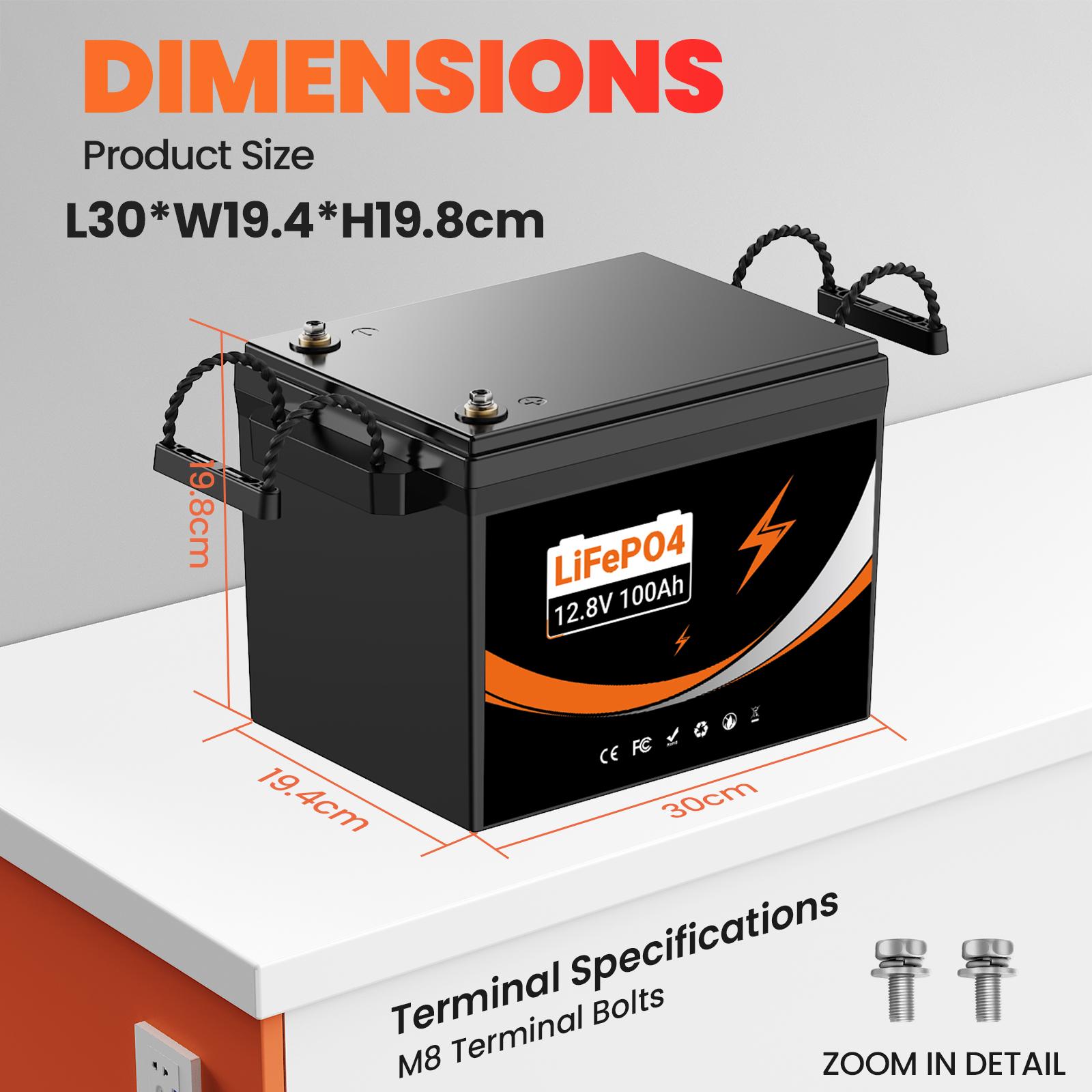 Lianpaiyaun 12V 100Ah LiFePO4 RV Akumulators