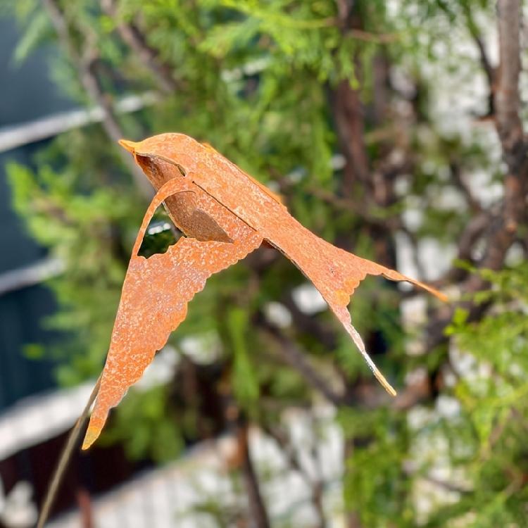 Rusty Iron Swallow Garden Decoration Stake 3D Swallow Bird Iron Art Stake Balcony Statue for Outdoor Patios and Lawn