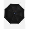 minimalist Morandi fully automatic umbrellas with  solid color, black glue, clear umbrella, sunshade