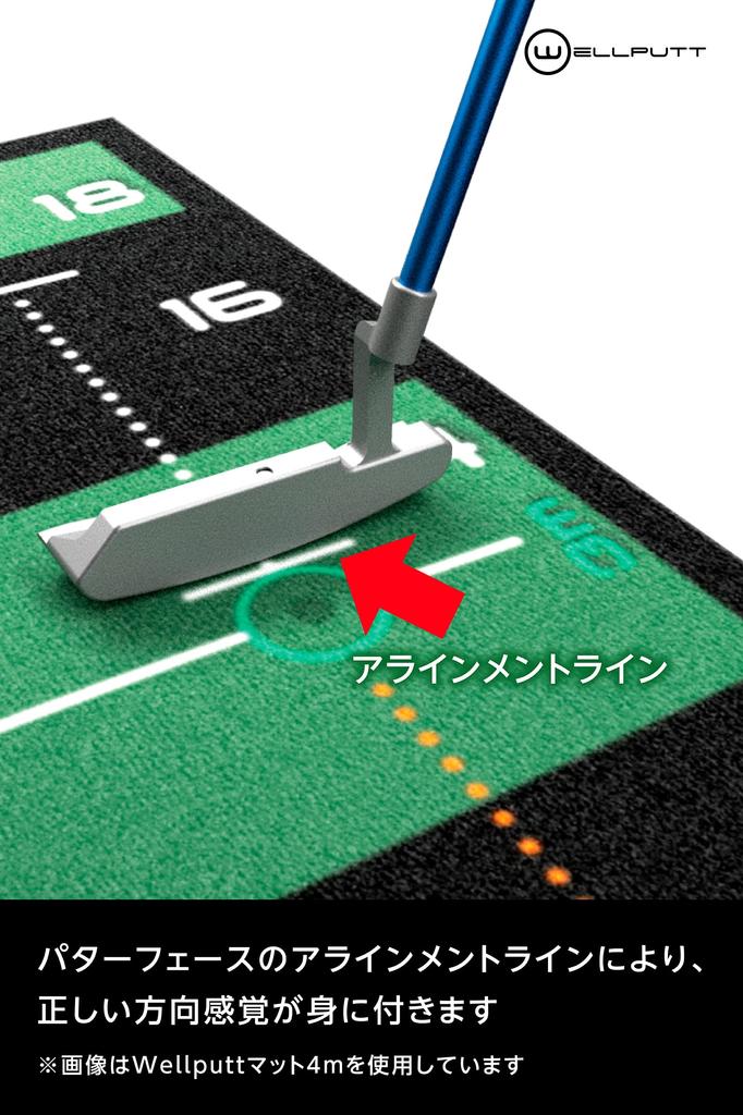 WELLPUTT Golf Putting 3M Mainstream Wellput Made in Officially Distributed in Mat, Model, Green, Zone, France, Japan.