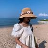 Lafite Wreath Straw Hat Ladies Summer Versatile Small Fresh Seaside Vacation Face Cover Sun Hat Summer Hat