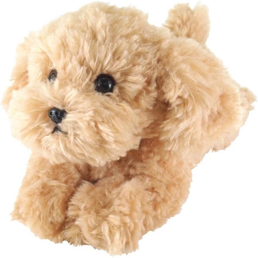 Sun Lemon KneeS Toy Poodle Beige PluSh Toy S P 3042 Toy Poodle Beige