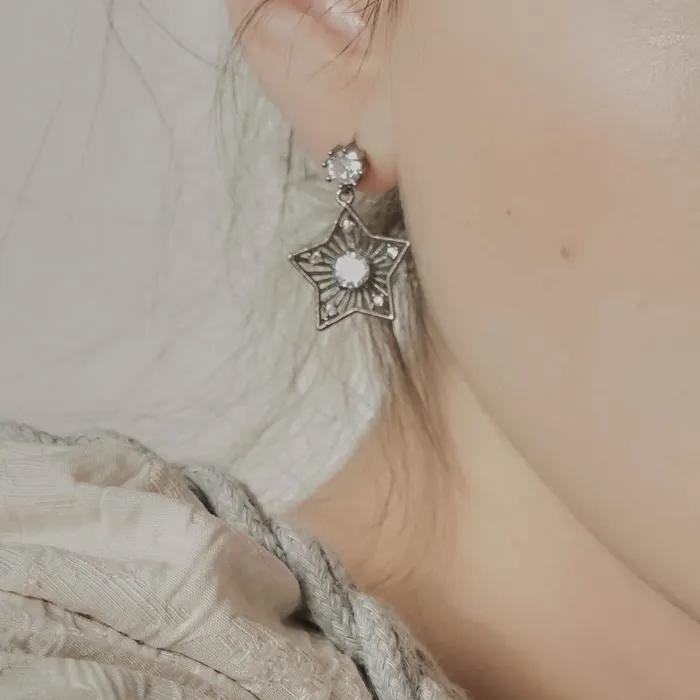 bric star earring