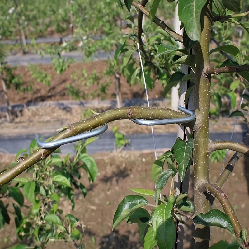 10pcs of Metal Branch Pruners, Tools for Shaping Garden Flowers