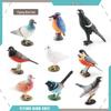 Cross-border Bird Model Ornament: Kingfisher, Magpie, Pigeon, Cuckoo, Barbet, Tit