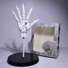 1:1 Scale Big Figure Pill Highly Articulated Hand Figurine - Bionic Finger Joints Mannequin Hand Artistic Sculpture Figure Kit