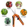 Gardening Supplies Hand Cutter Floral Scissors Garden Pruning Shears Pruning Tools Garden Scissors