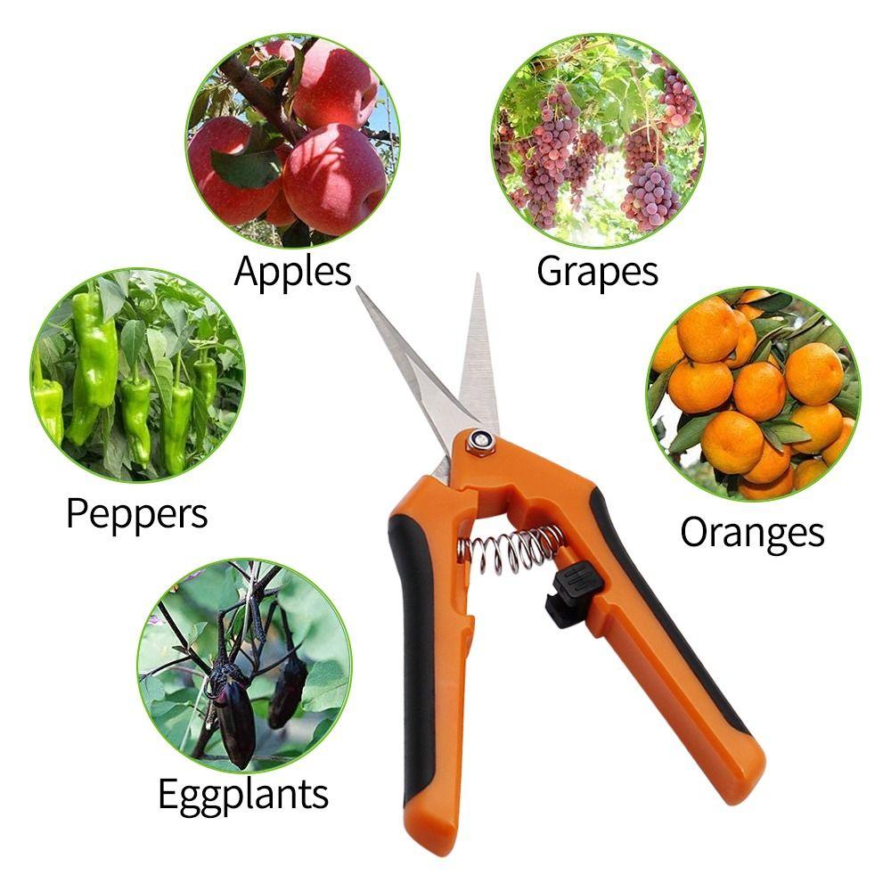 Gardening Supplies Hand Cutter Floral Scissors Garden Pruning Shears Pruning Tools Garden Scissors