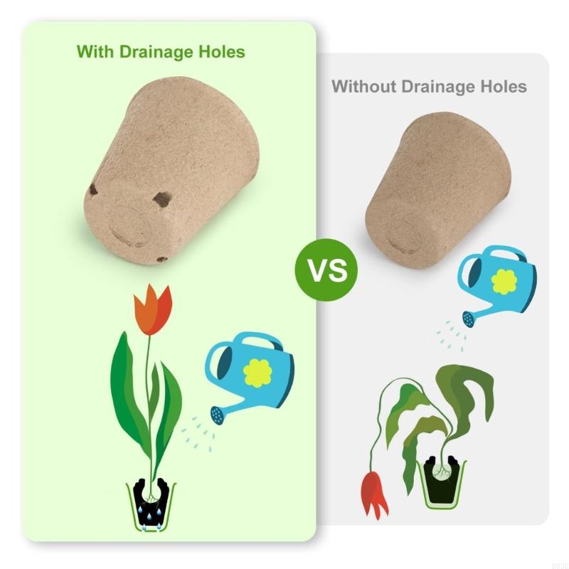 100X Sustainable Nursery Cups 8cm Diameter For Growth Development B03E