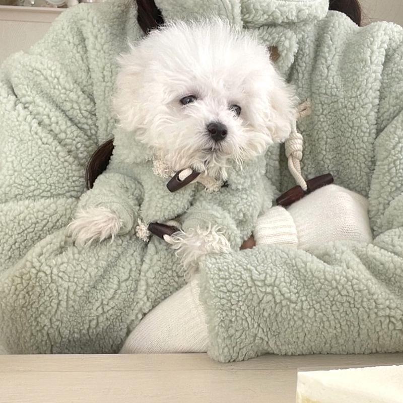 Dog Autumn And Winter Traction Pet Clothes Teddy Bichon Schnauzer French Dou Corgi Small Dog Pomeranian Winter