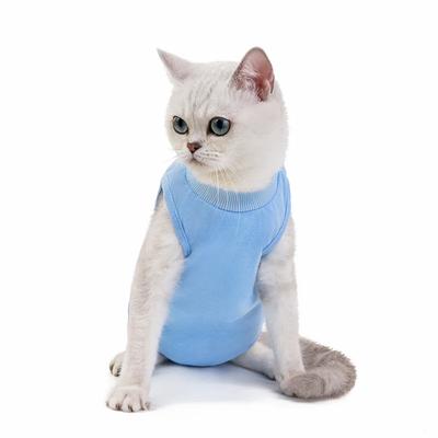 Gatos – Cuidados e higiene
