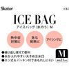 skater ice bag m ice bag disney mickey & friends 23 21cm icb2-a
