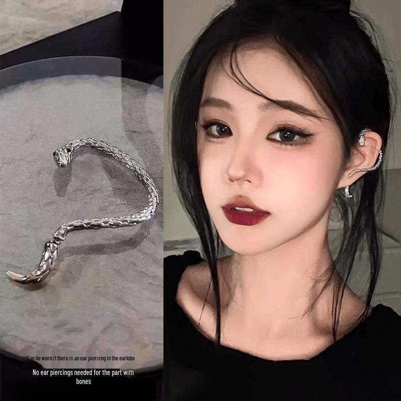Women's High-End Plain Hoop Earrings: Light Luxury Ear Drops & Studs, Niche Design for Autumn/Winter.