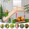 Bird Perch Swing Wooden Parrot Training Stand With Climbing Ladder And Mirror Pet Cage Accessories Bird Perching Toy