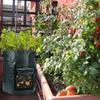 4pcs Garden Planting Bags with Viewing Window Reusable Grow Sacks for Potatoes Tomatoes Practical Plant Containers