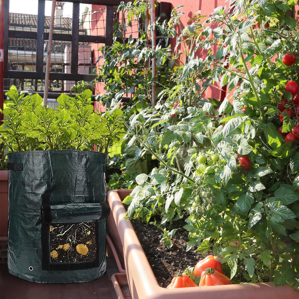 4pcs Garden Planting Bags with Viewing Window Reusable Grow Sacks for Potatoes Tomatoes Practical Plant Containers