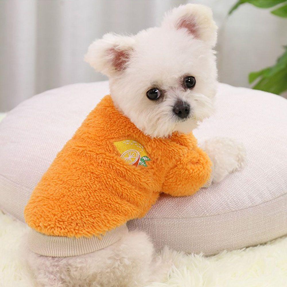 

New Year dog warm Small Dog Sweater two-legged pet clothes Cute
