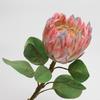 High-end Feel Moisturizing Emperor Flower Simulation Flower Home Decoration Fake Flower Ornament Photography Props