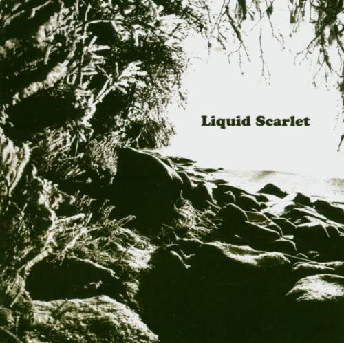 

CD LIQUID SCARLET - Liquid Scarlet PRCD012 Progress Record 2004 US Rock Used