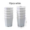 10/20pcs Octagonal Flower Pots Plastic White Planters with Drainage Holes Home Decor Succulents Indoor Outdoor Gardening TMZ