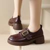 British Fashion Women's Loafers 2025 Autumn New Soft Leather Round Head Platform Shoes Thick Heel Retro Small Leather Shoes
