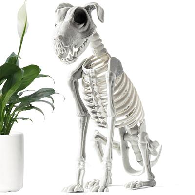Szczegółowy Szkielet Psa na Halloween Horror Prop Szczątki Psa Halloweenowe Realistyczne Kości Psa Upiorna Straszna Ozdoba Siedzący Szkielet Psa