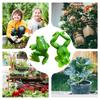 Frosch Gartendekoration Niedlicher Tier-Pflanzenhänger Lustige Froschstatue Set mit 2 Stück Pflanzgefäß Terrarium Dekoration für Balkon Rasen Regal Schreibtisch