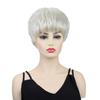 Synthetic Short Wigs With Bangs Lady Silver White Wig for Women Layered Hair for Daily Cosplay Heat Resistant Fibre