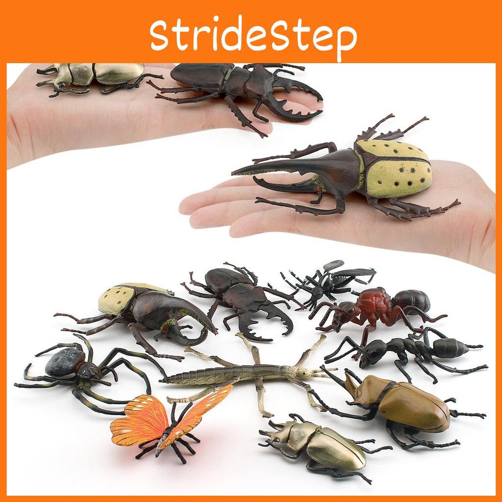 Insect Collection Model Pvc Animal Replica For Nature Study And Educational Use