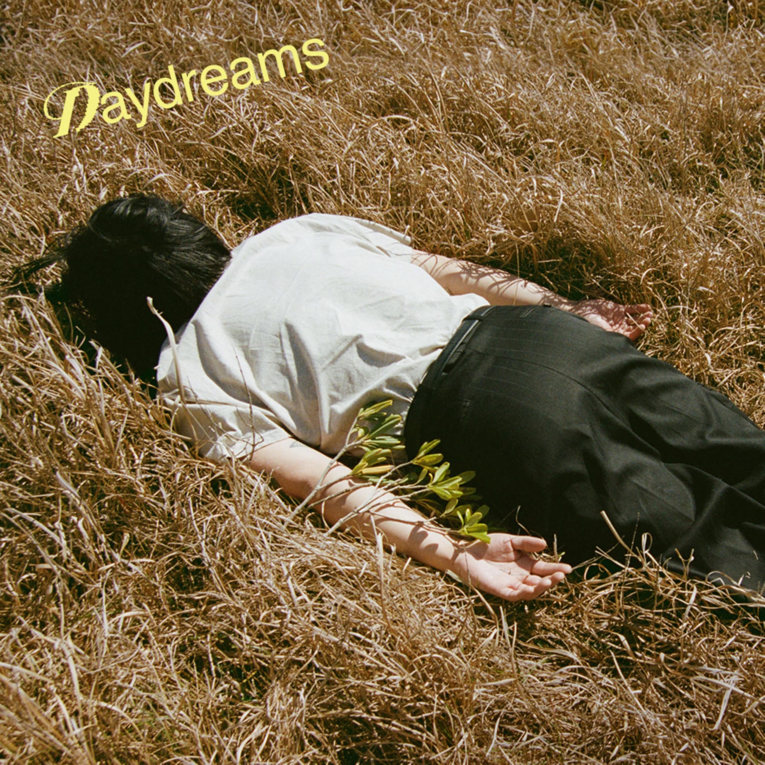 

DAYDREAMS Limited [LP Edition] [Analog] Michael Kaneko