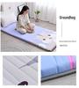 7L Winter Mattress Topper - Dorm, Student, or Kids' Single Bed Mat