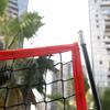 Plasă Portabilă 7*7FT pentru Practicarea Baseballului pentru Copii Echipament de Antrenament pentru Copii cu Geantă