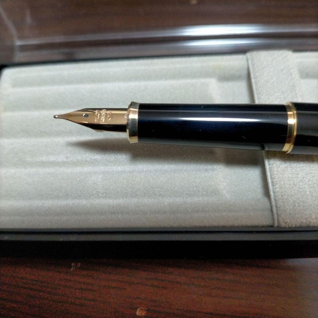 Used (New) PILOT Fountain Pen Black Gold-Plated Nib with Clear Case and Refill Ink