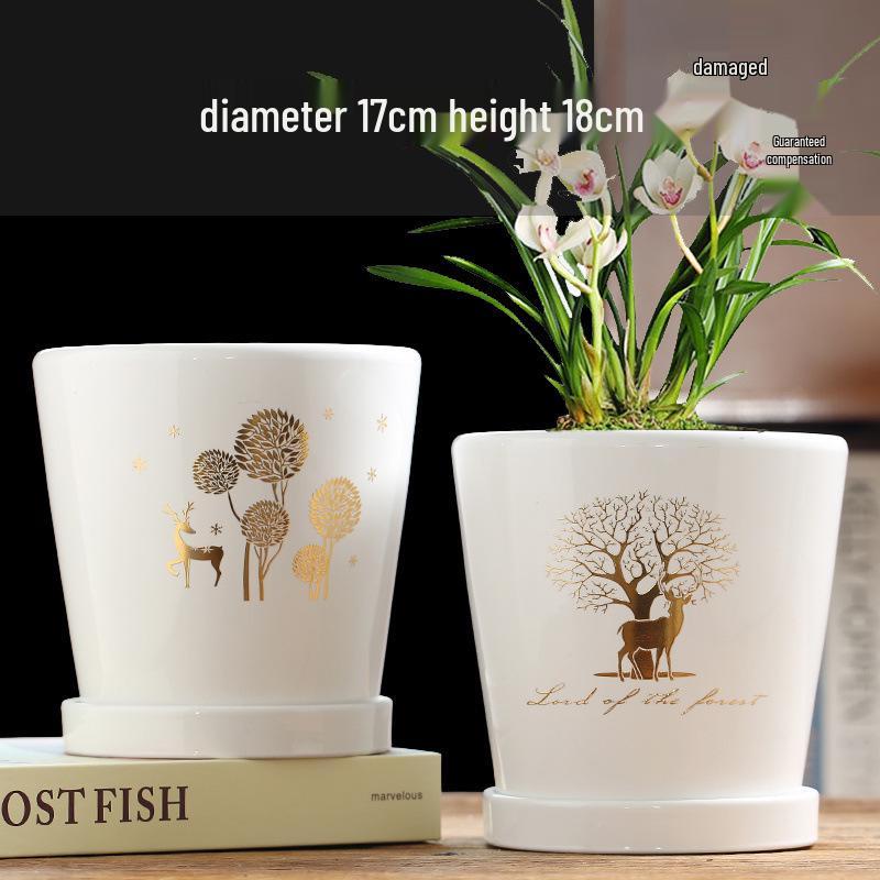 Simple Creative Ceramic Hanging Flower Pot with Tray - Large/Extra Large for Succulents and Green Pothos