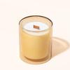 Customized Colored Glass Double Wall Candle Vessel Jar for Gift Candle Making Heat Resistant Glass Candle Holder