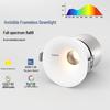 Rahmenlose Einbau-Downlight mit Entblendung: Vollspektrum-Wandfluter für Wohnzimmer