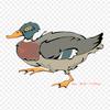 Beak Duck Kinetik I T Inc Iron on Heat Transfer Printing Vinyl Patches Sticker for Clothes DIY Appliques Washable Patches