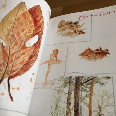 Used Yoshitaka Amano Illustration Special Edition First 2014 From Japan
