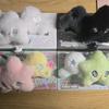 NCT Wish WeChu Dolls for Sale As a Set
