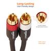 Amazon Basic RCA Audio Cable RCA Male 2 RCA Black 2.4m (2 - Male)