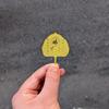 Gold Foil Guanyin Card Good Luck Peace Blessing Religious  Premium Craft Lucky Charm for Home Office Decor