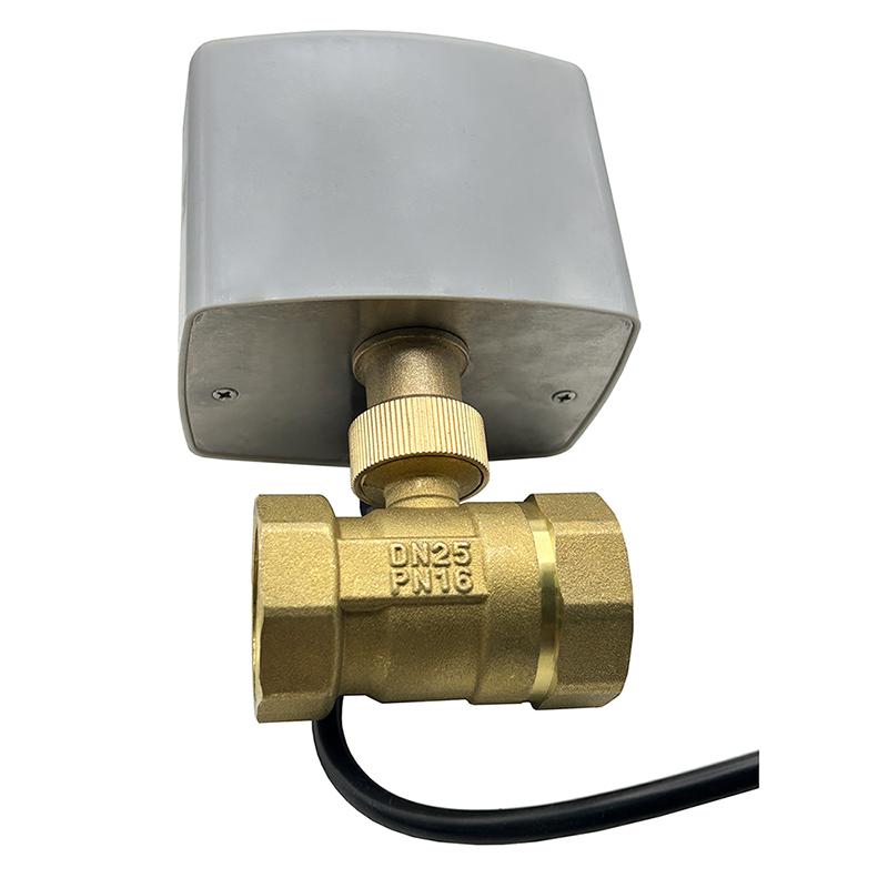 1/2" 3/4" 1" 1-1/4" 2" Motorisierter Kugelhahn 12V 24V 220V 3-Draht 2-Steuerung Elektrische Kugelhähne Wasserhahn