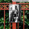 2D Vlak 8×12 Inch Grappig Paard Leest Krant op Toilet Metalen Bord - Grillige Zwart-Witte Badkamer Wanddecoratie, Aluminium Ophanging voor Toiletruimte