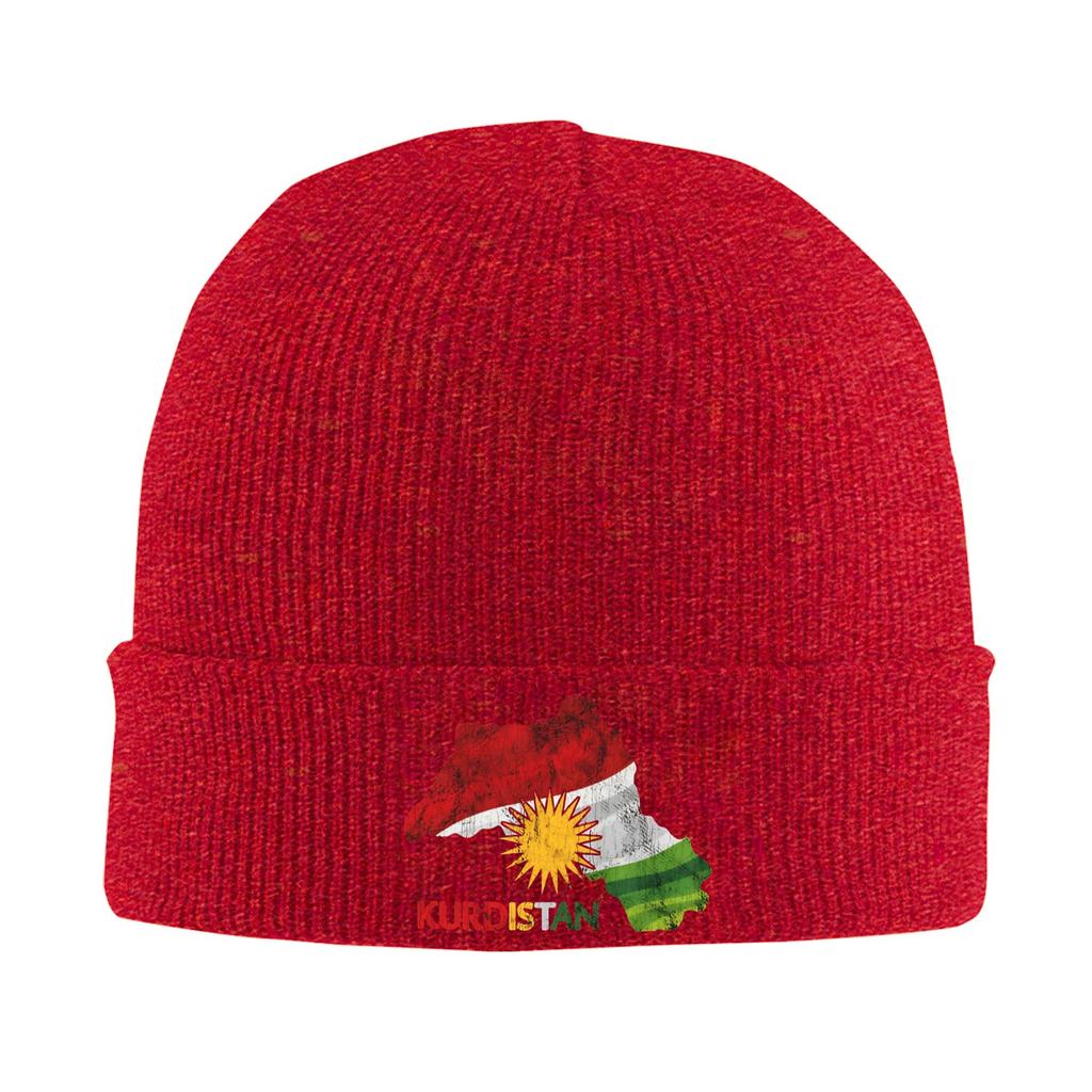 Kurdistan Flag Beanie Hats  Bonnet Hats Men Women Hip Hop Kpop Knit Hat Autumn Graphic Thermal Elastic Caps