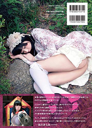 The Comet That Isn't Yet Visible (TH ART SERIES)