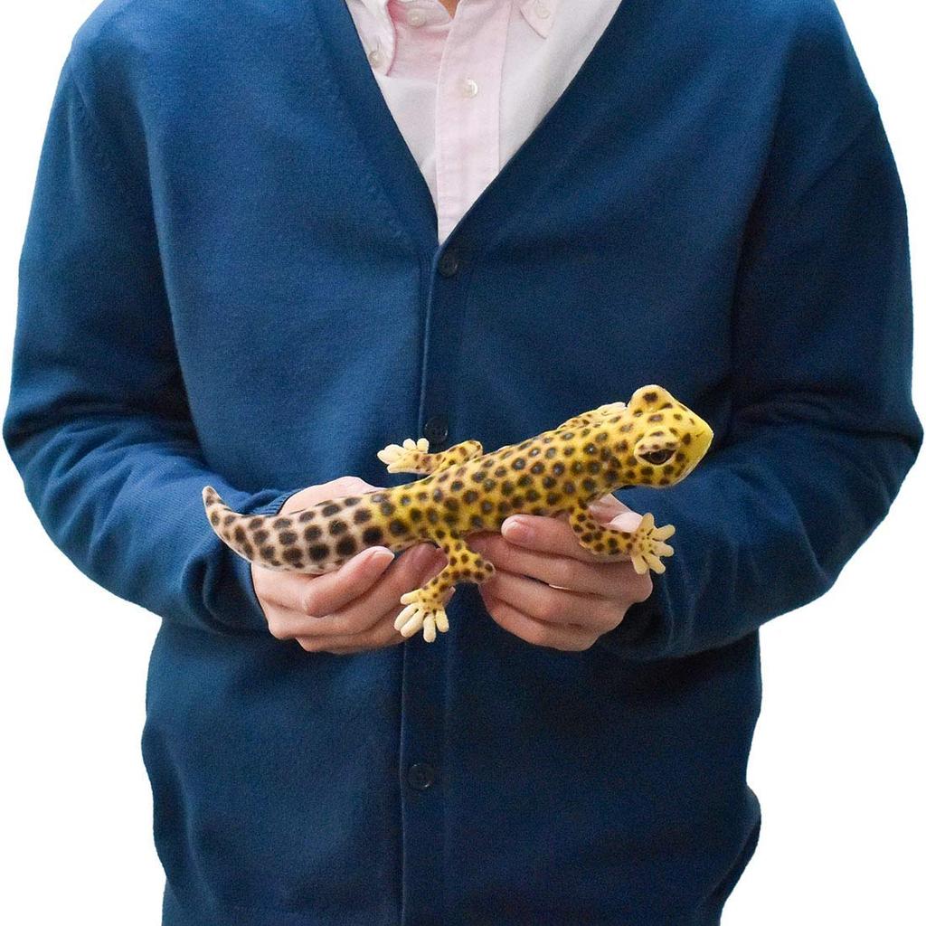 BH8140 HANSA Leopard Gecko 26