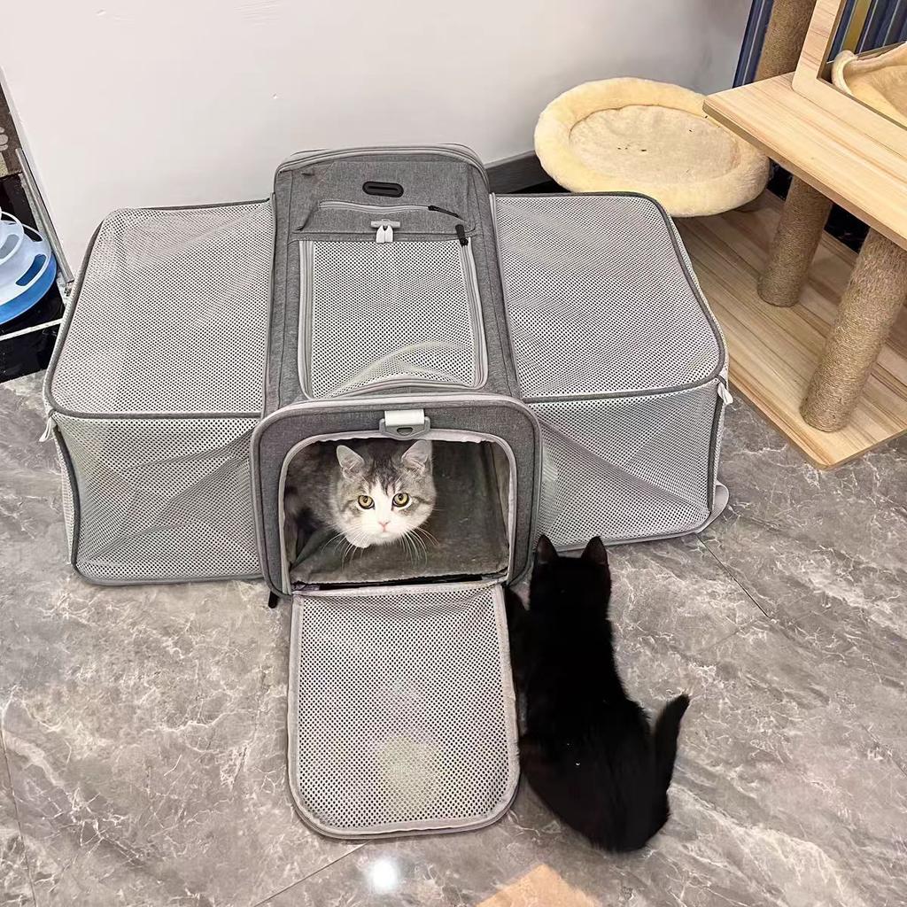 Tragbare erweiterbare Polyester-Katzen- und Kleinhund-Haustierertasche für Reisen und Ausflüge